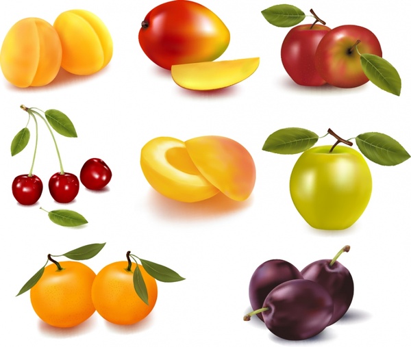 fruit icons shiny colored modern 3d design