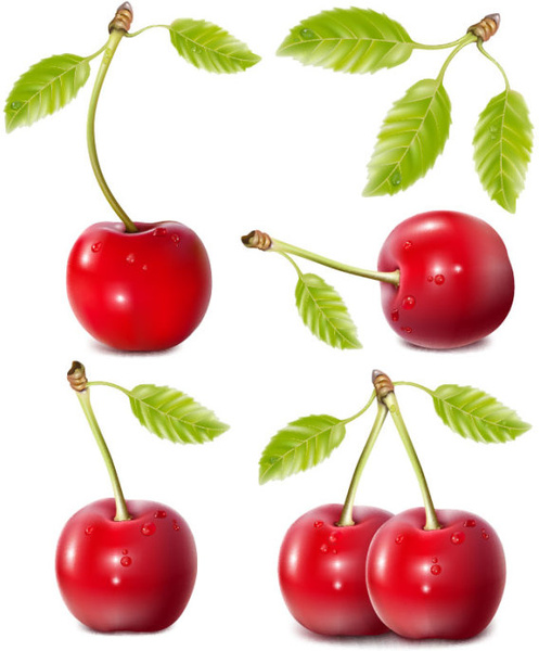 fruits food leaves red cherries