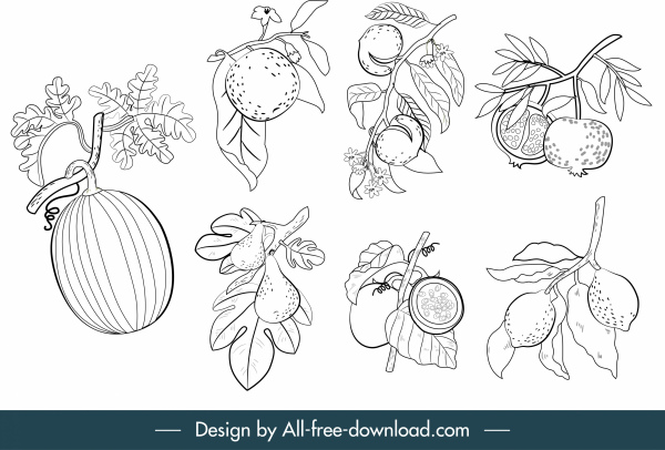 fruits icons black white classic handdrawn sketch