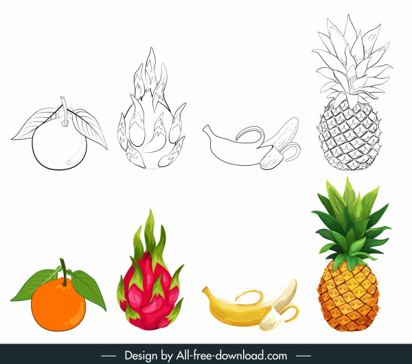 fruits icons black white colored handdrawn sketch