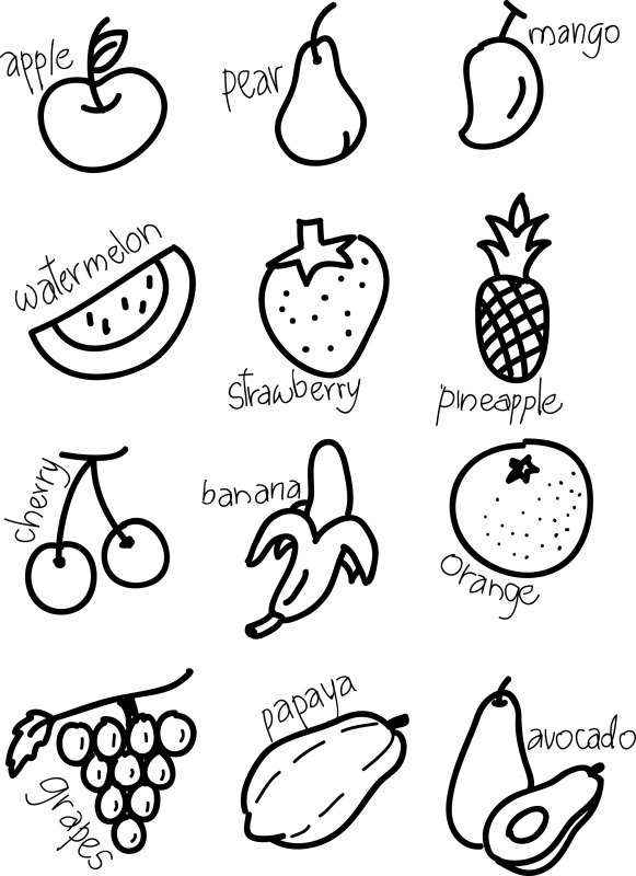 fruits icons sets flat classical hand drawn  outline