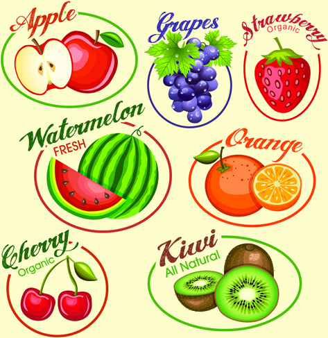 fruits slice labels vector