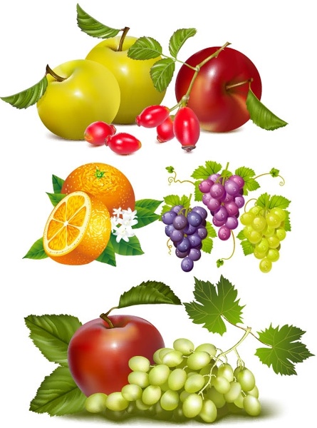 Vector fruit free vector download (2,751 Free vector) for ...