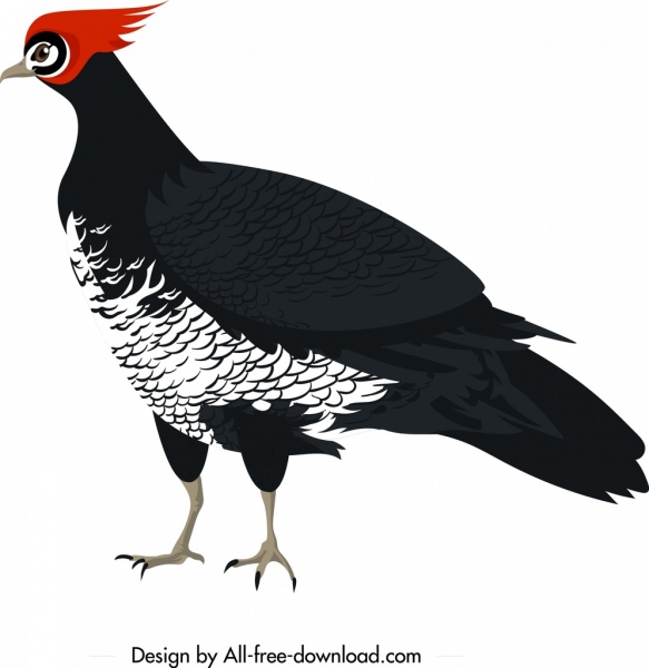 galliformes icon classical colored cartoon character sketch 