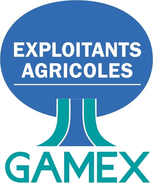 gamex 1