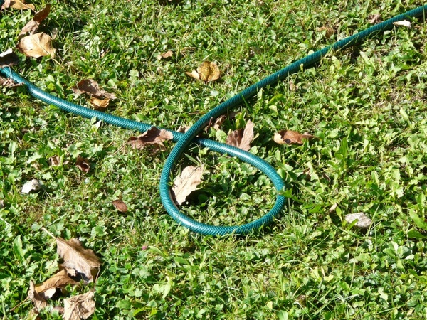 garden hose hose irrigation