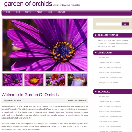 garden of orchids