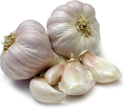 garlic hd picture 2 