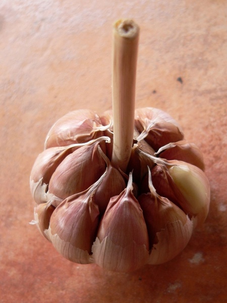 garlic smelling food