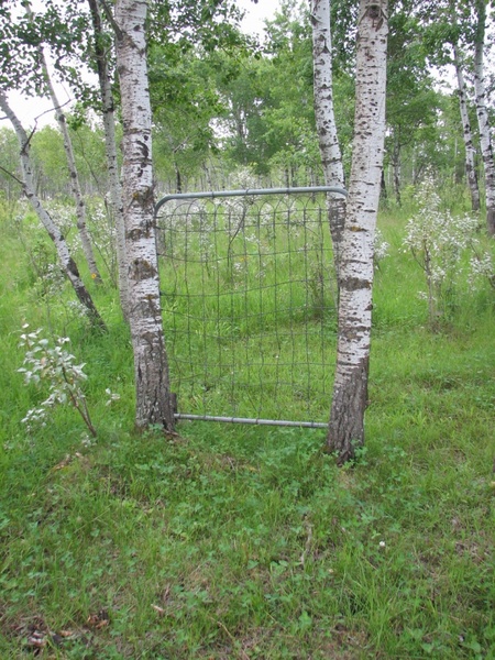 gate in the field
