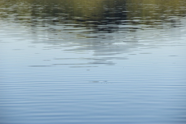 gentle water ripples with reflection of hill 