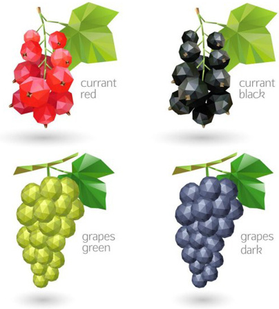 geometric shapes currant and grapes vector