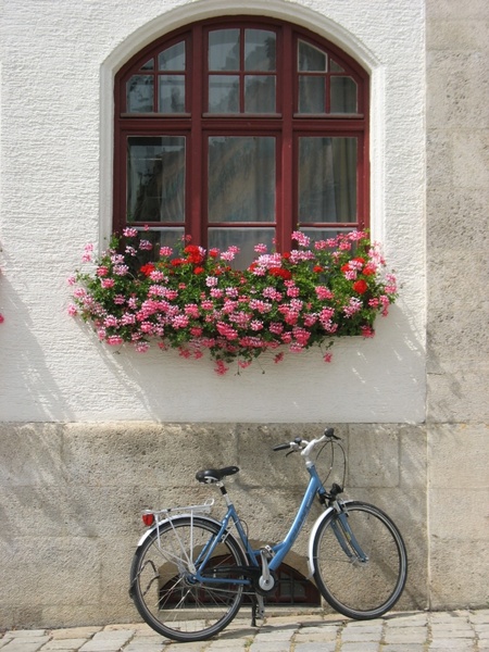 germany bicycle window