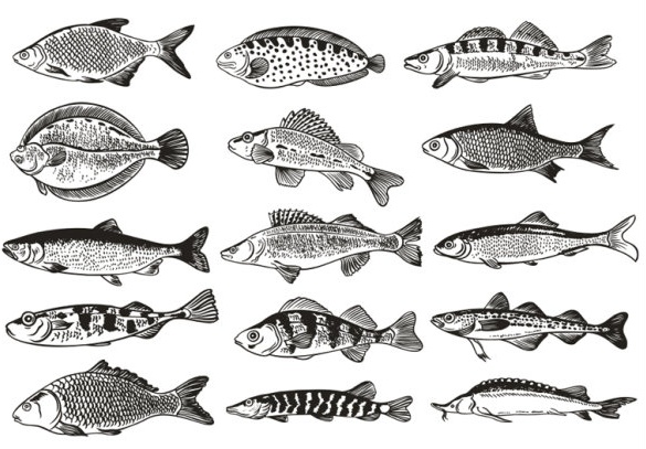 Download Fish free vector download (1,419 Free vector) for ...