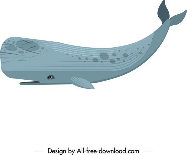 giant whale icon colored flat sketch