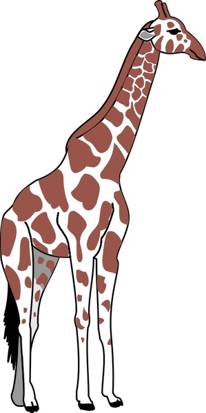 Download Giraffe Free Vector In Open Office Drawing Svg Svg Vector Illustration Graphic Art Design Format Format For Free Download 82 72kb