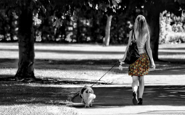 girl dog walk
