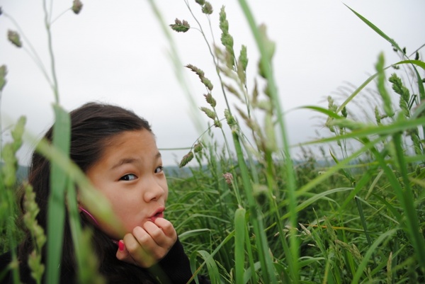 girl nature field 