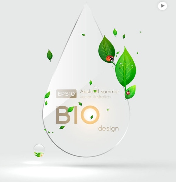 ecological banner template transparent waterdroplet leaves ladybugs decor