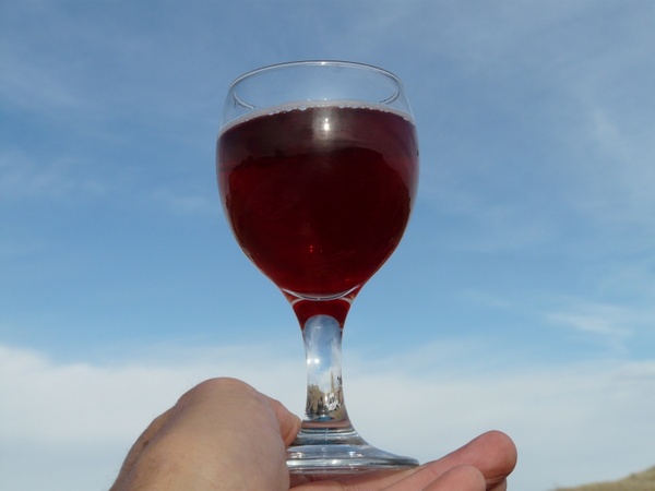 glass wine glass drink