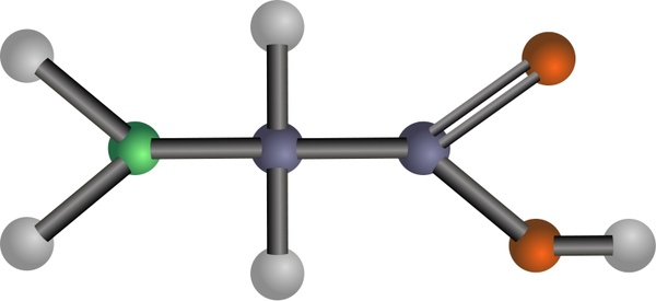 Glycine (amino acid)