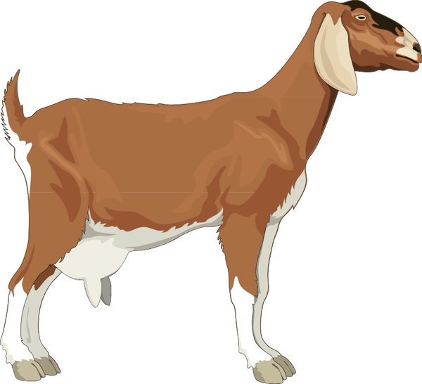 Download Goat Free Vector In Open Office Drawing Svg Svg Vector Illustration Graphic Art Design Format Format For Free Download 140 21kb