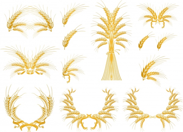 beer design elements golden cereal icons decor