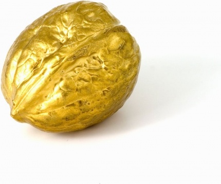 gold nut walnut