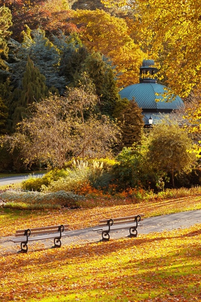 golden autumn in park