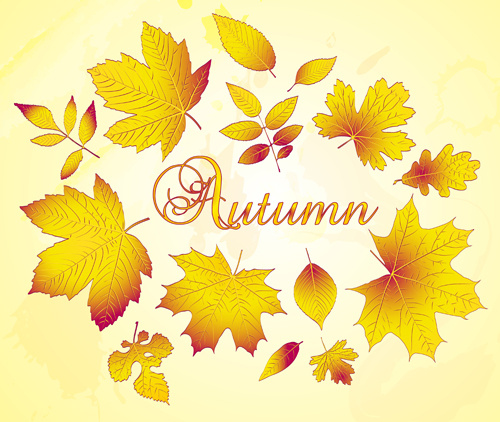 golden autumn leaves vector background