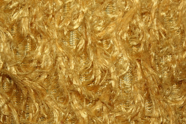 golden fur