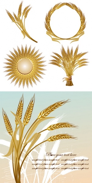 wheat decoration icons golden color various style design