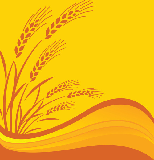 Download Golden wheat vector background set Free vector in ...