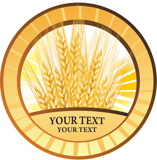 golden wheat vector background set
