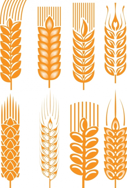 wheat icons classic yellow flat shapes sketch