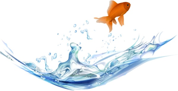 jumping goldfish background splashed water icon modern design