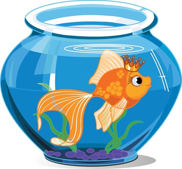 goldfish vector 1