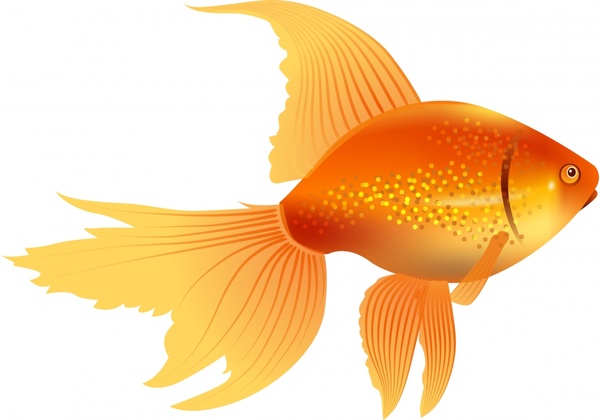 Download Free goldfish vector free vector download (64 Free vector ...