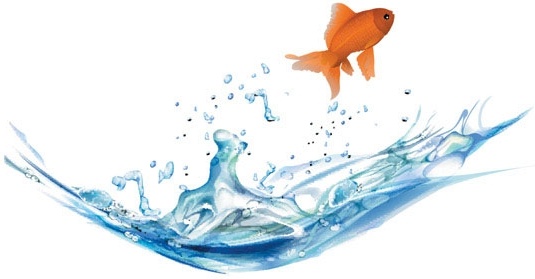 Download Goldfish free vector download (64 Free vector) for ...