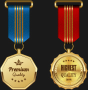 gorgeous medal award vector
