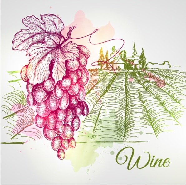 grape and farm hand drawing vector