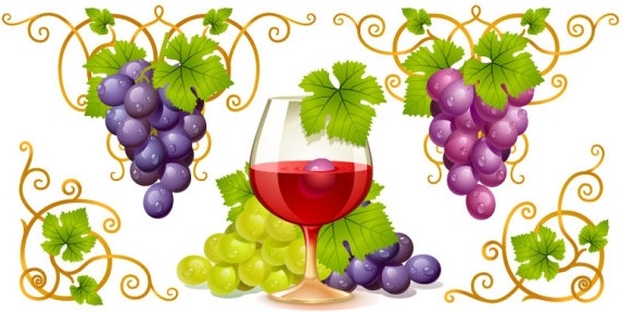 grape and wine vector