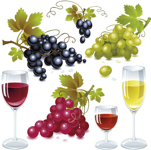 grapes and grape wine elements vector