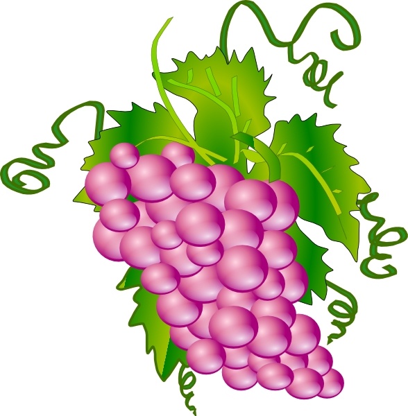 Grapes clip art 