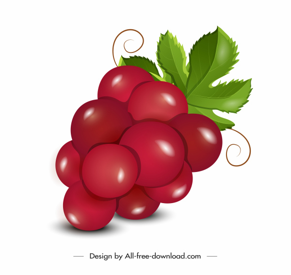 grapes icon red shiny decor modern design