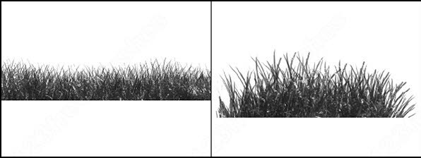 grass brush