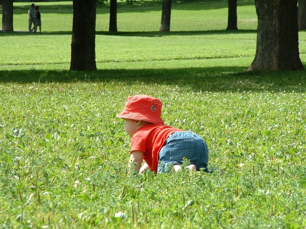 grass children park