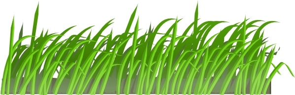 Grass Texture clip art 