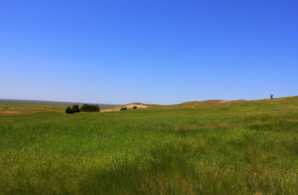 grassland landscape at badlands national park south dakota