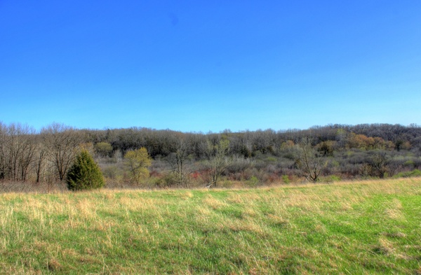 grasslands and forests at kettle moraine south wisconsin 